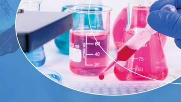 The ISMRC Meeting 2024